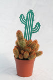 Cactus Plant Pick