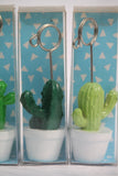 Cactus Photo Clip