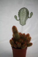 Cactus Watering Bulb