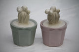 Cactus Candle - Scented
