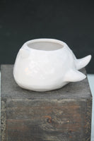 Narwhal Planter