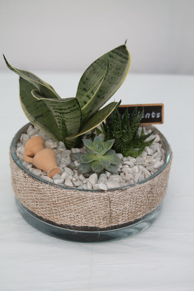 Succulent Burlap Terrarium Planter