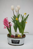 Spring Bulb Nature Planter