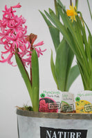 Spring Bulb Nature Planter