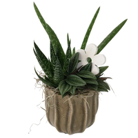 Manon Succulent Planter