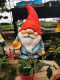 Garden Gnome - Harvesting