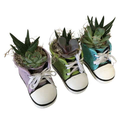 Succulent Shoe Planter