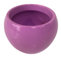 Ceramic Pot