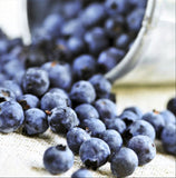 Blueberry Plants