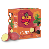 Earth Apples Potatoes - Seed