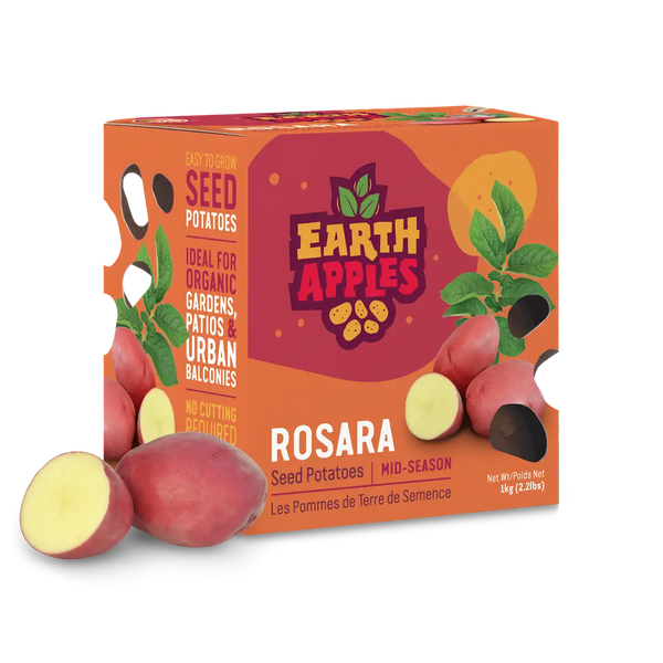 Earth Apples Potatoes - Seed