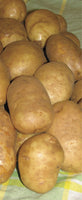 Potatoes - Seed