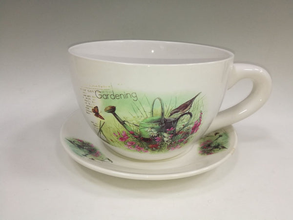 teacup saucer planter Teacup + Saucer Planter – Family Flowers Inc