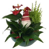 Holiday Gnome Planter