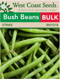 Bean Seeds - Bush