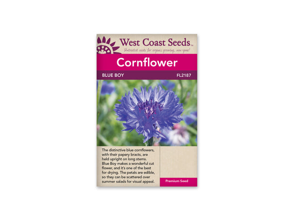 Cornflower Seeds