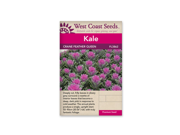 Ornamental Kale Seeds