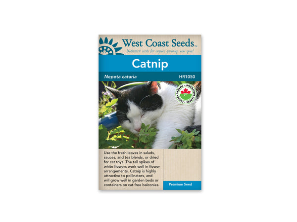Catnip and Cat Grass Seeds