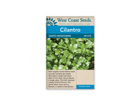 Coriander/Cilantro Seeds