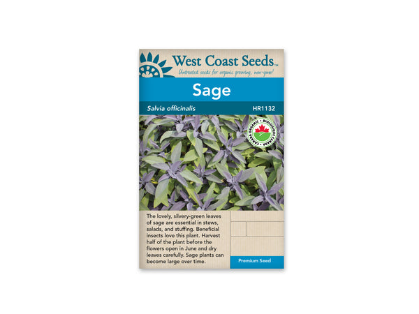 Sage Seeds