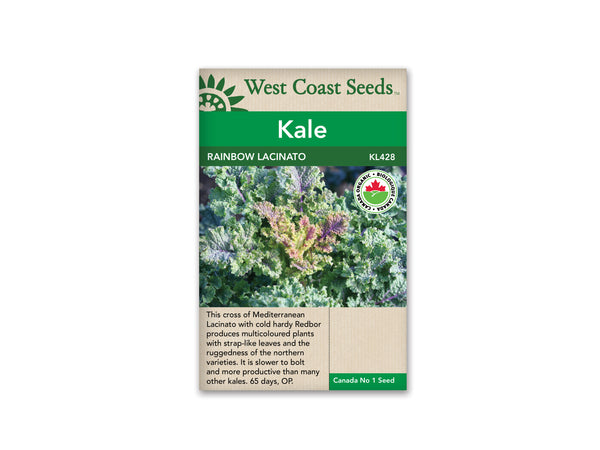Kale Seeds