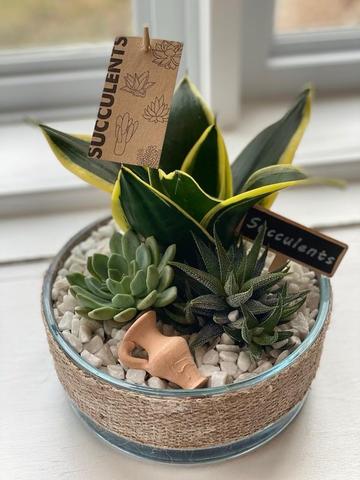 Succulent Burlap Terrarium Planter