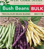 Bean Seeds - Bush