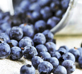 Blueberry Plants