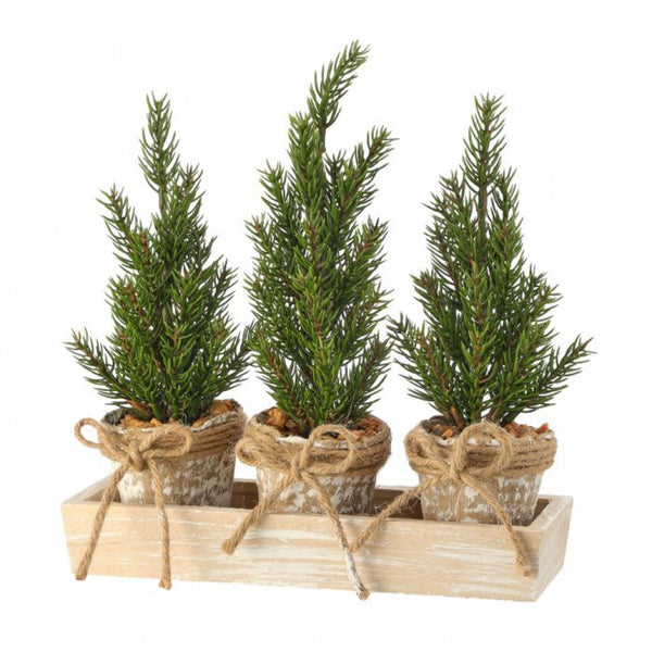 Pine Seedling Trees Artificial