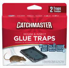 Insect and Mouse Glue Traps