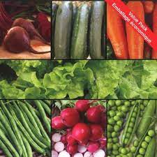 Vegetable Garden Starter Kit Seed Pack