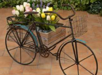 Tricycle Planter