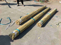 Stake Support - Bamboo Pole