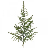 Norfolk Pine Spray