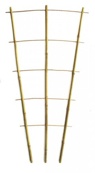 Trellis - Bamboo