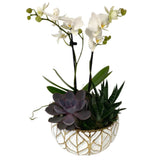 Leaf Succulent Orchid Planter