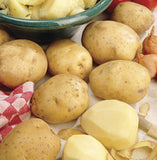 Potatoes - Seed