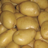 Potatoes - Seed