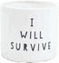 I Will Survive Pot