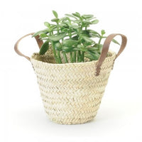 Jute + Straw Plant Baskets
